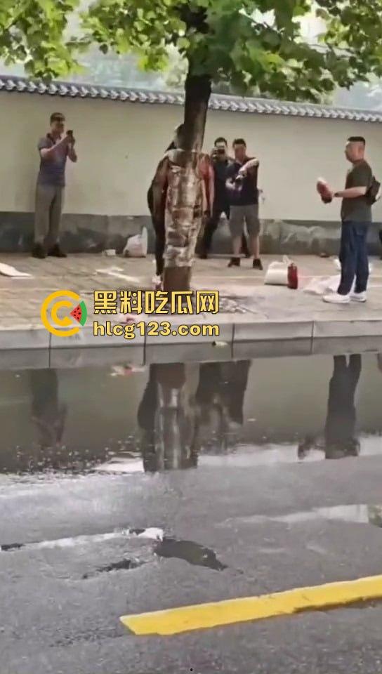 城里人的离谱操作！脱光缠树上撒面粉，这画面简直像缅北逃猪仔被抓！-8