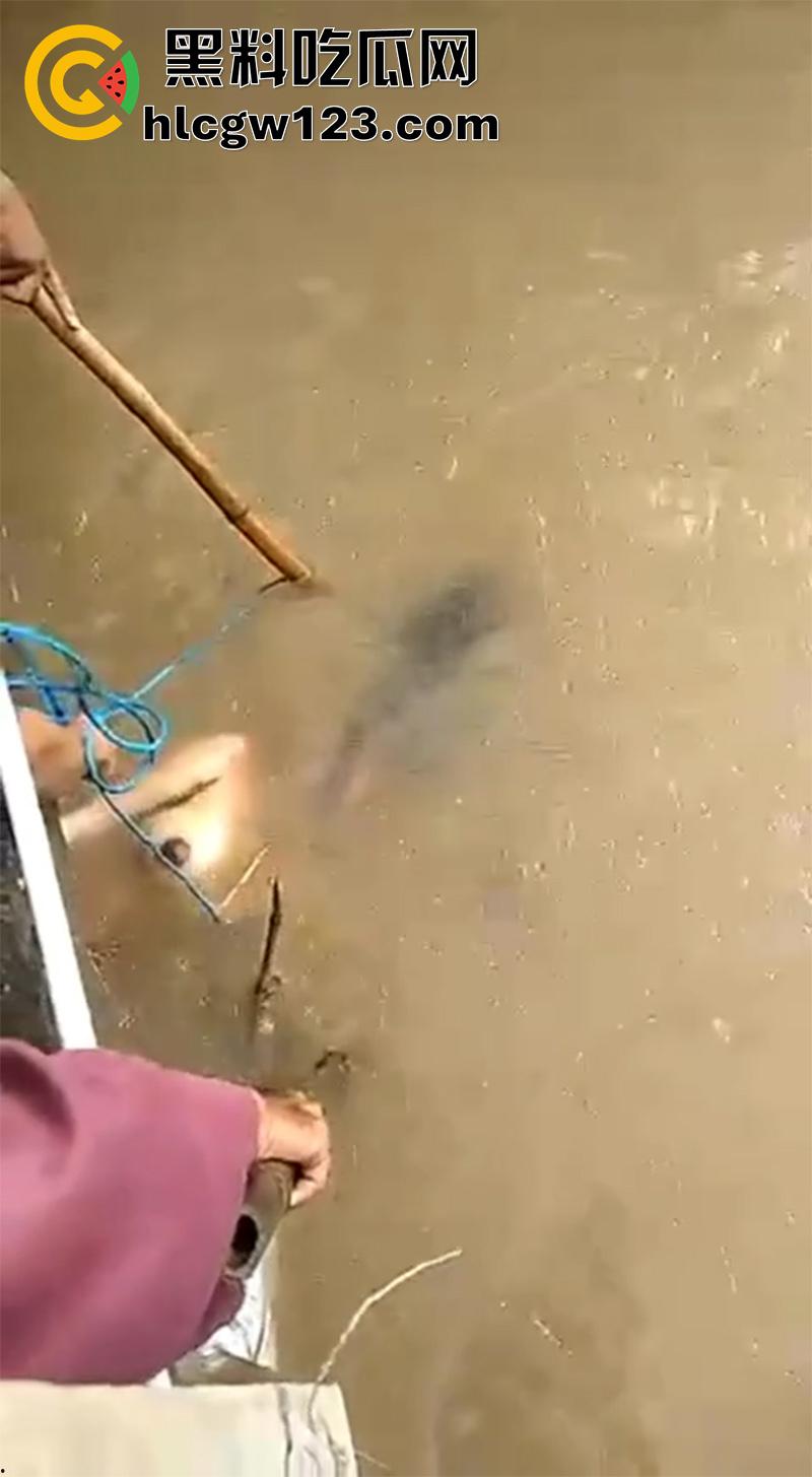 扬州振兴花园二期河道，发现一具21岁女尸，全身赤裸疑似是被害，打捞画面流出，胆小者勿入！-7