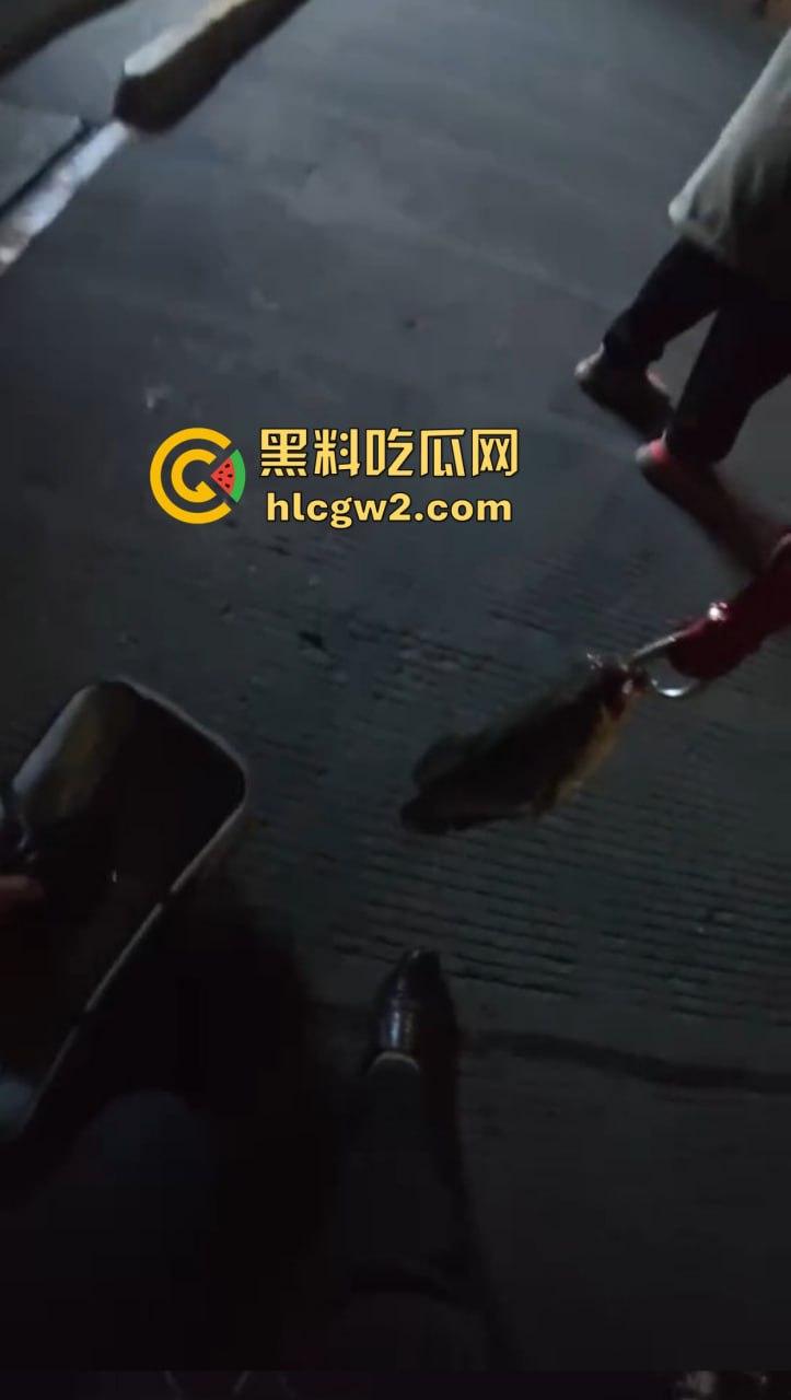 钓鱼佬想换小姐姐十分钟激情 拿条黄辣丁换草逼 小姐姐一脸嫌弃 把人当翘嘴钓呢?-10