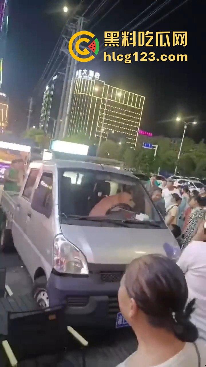 湖南邵东拉布拉多狗司机开倒车撞摊，装无辜伸舌头竟然成了明星！-5