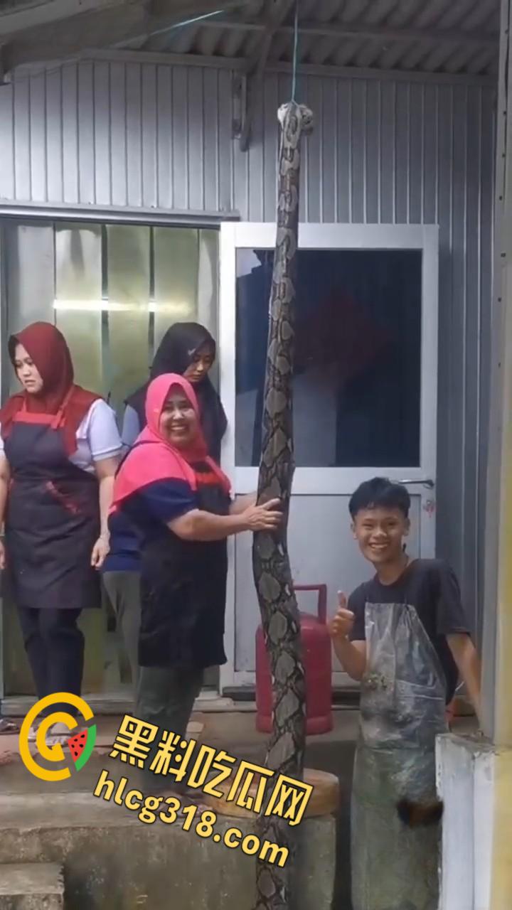 农夫徒手大战蟒蛇，54公斤巨型蟒蛇被活活打死，农户剥皮下锅做大补美食，场面血腥 ！-7