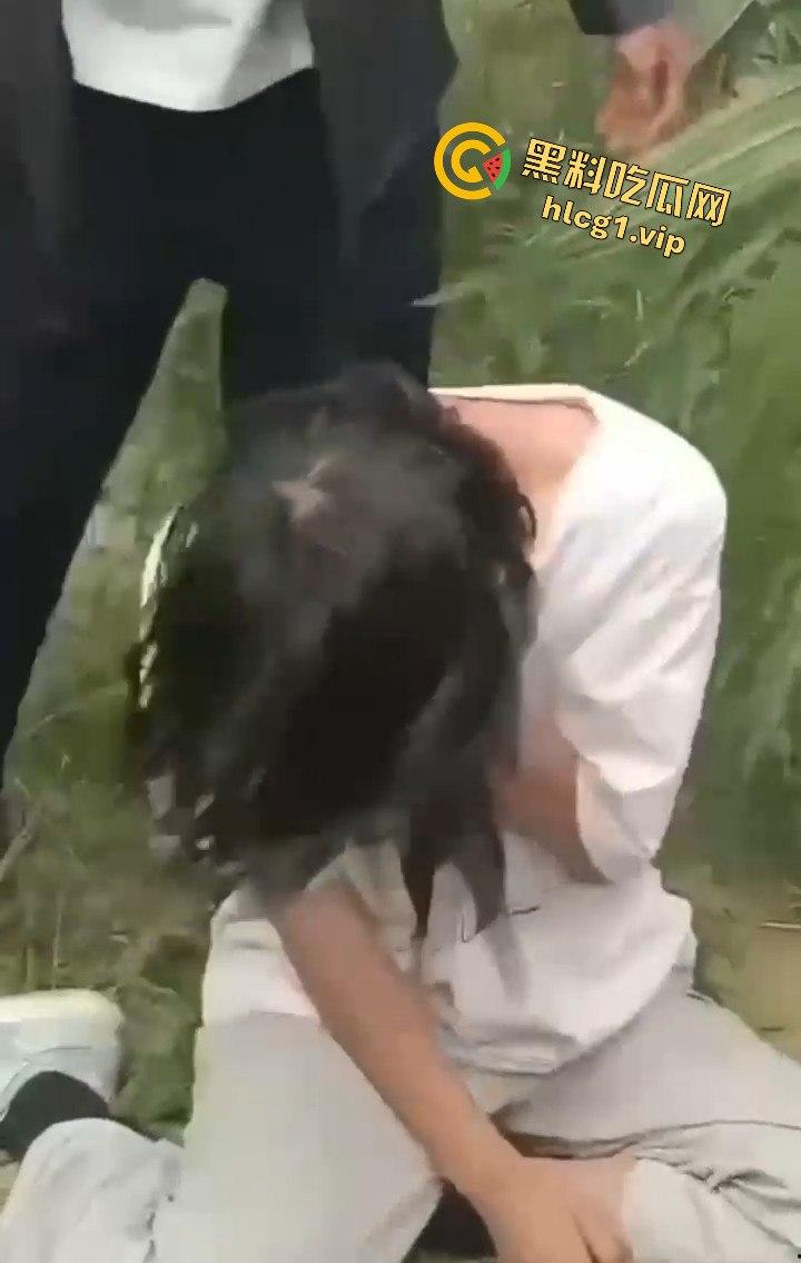 河南商丘高中女生被两名男同学殴打！玉米地中耳光、拳脚相加！-5