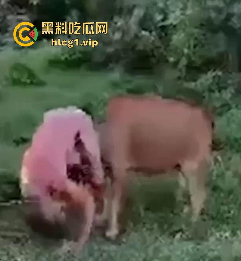 泰国一名26岁俄罗斯男子试图强奸牛妈妈 反被牛妈妈反杀！-8