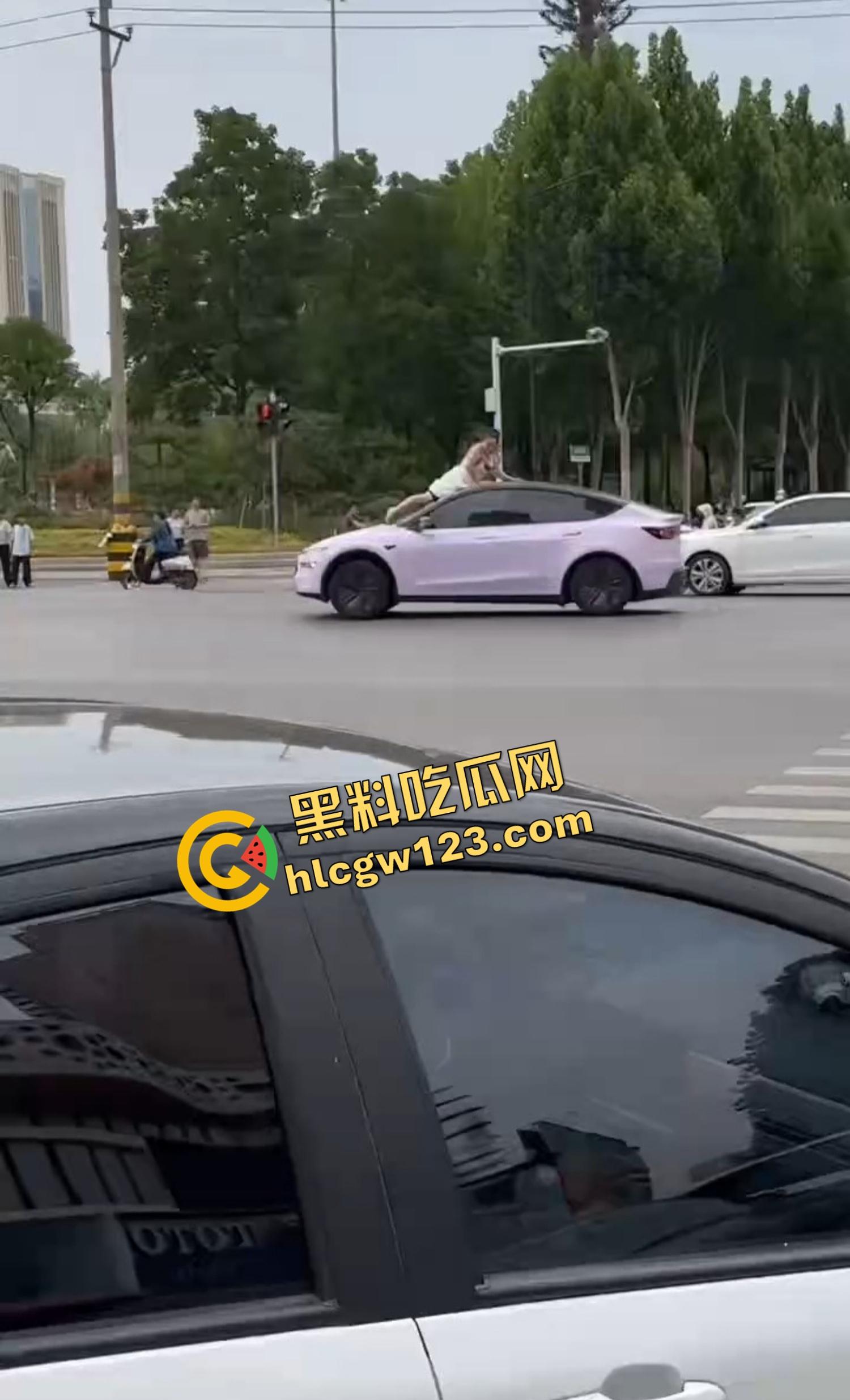 河南女版绿魔开挂上线，集美爬车无差别砸车，特斯拉一脚电门姐你是来耍杂技还是找死的？-2