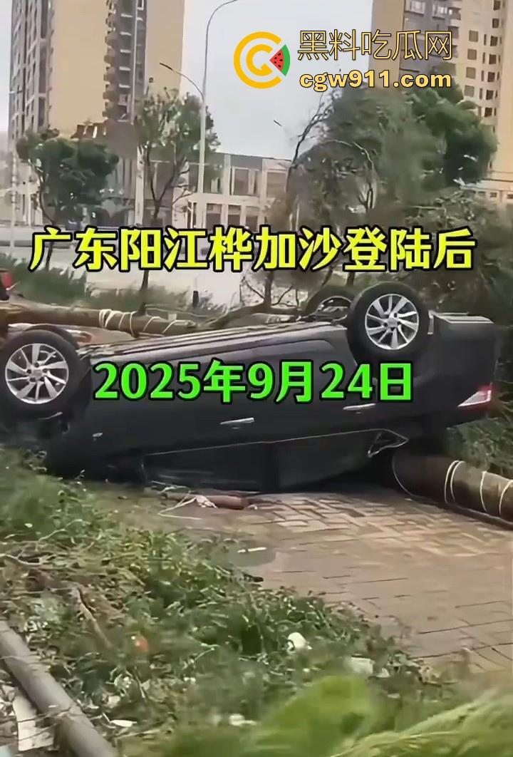 最强的超级台风【桦加沙】登陆阳江后的真实状况，到处都是被吹到的树玻璃，人类在大自然面前是多么渺小啊！-1