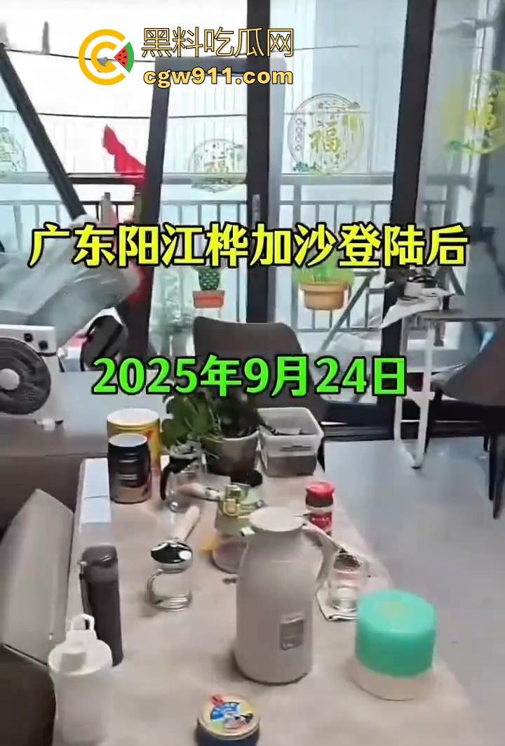 最强的超级台风【桦加沙】登陆阳江后的真实状况，到处都是被吹到的树玻璃，人类在大自然面前是多么渺小啊！-3