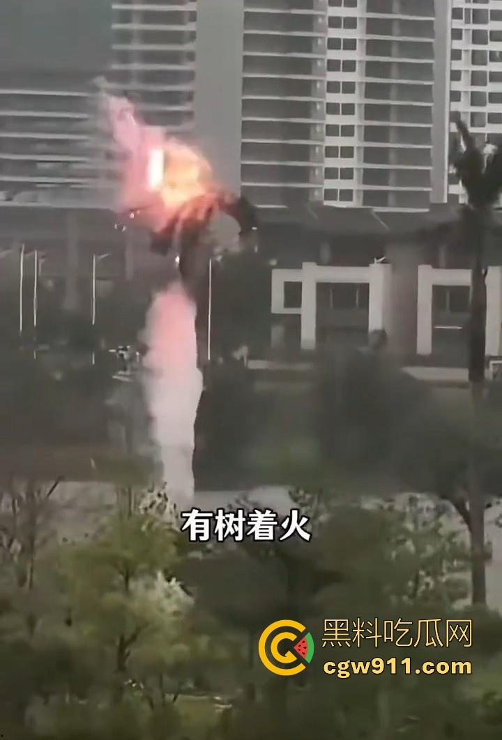 最强的超级台风【桦加沙】登陆阳江后的真实状况，到处都是被吹到的树玻璃，人类在大自然面前是多么渺小啊！-6