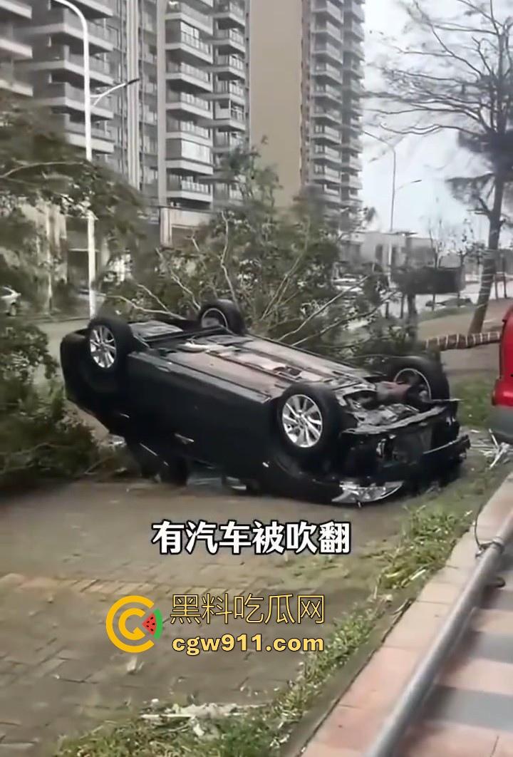 最强的超级台风【桦加沙】登陆阳江后的真实状况，到处都是被吹到的树玻璃，人类在大自然面前是多么渺小啊！-8