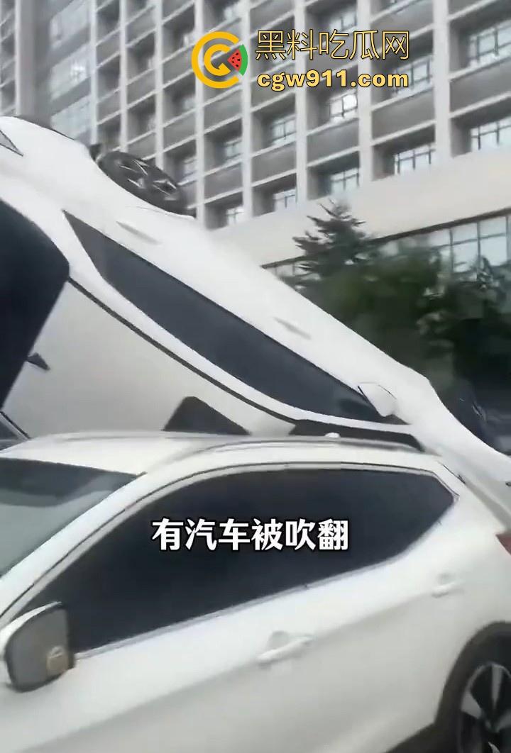 最强的超级台风【桦加沙】登陆阳江后的真实状况，到处都是被吹到的树玻璃，人类在大自然面前是多么渺小啊！-9