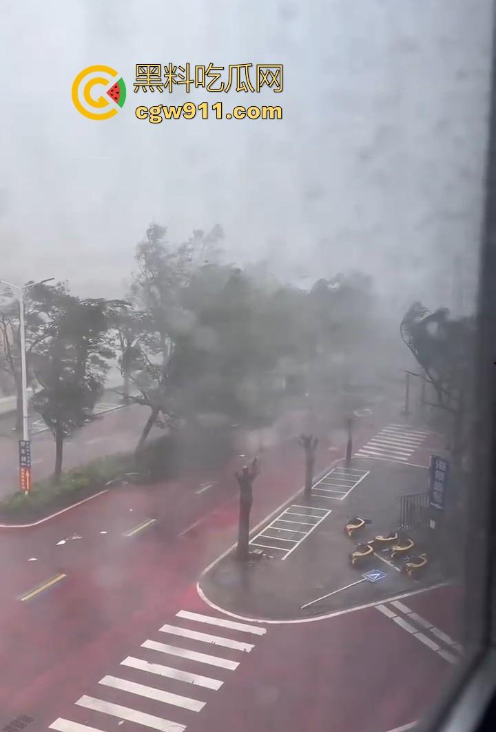 最强的超级台风【桦加沙】登陆阳江后的真实状况，到处都是被吹到的树玻璃，人类在大自然面前是多么渺小啊！-13