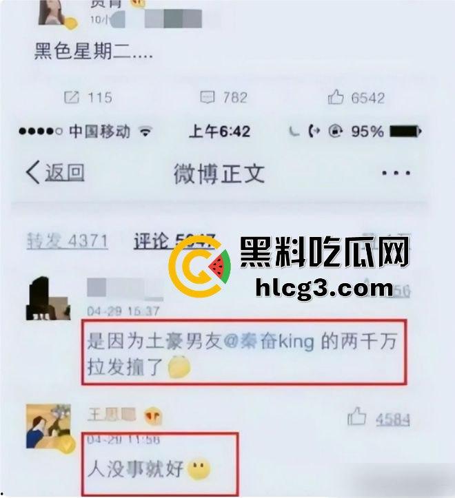 王丽坤老公诈骗9亿购房款惊天内幕！神秘转账贾青、赵韩樱子等女星，贵圈真乱！-3