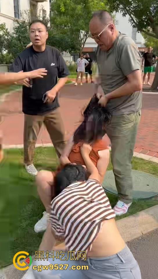 北京土豪大哥假期出游，偶遇路霸相逼停车怒骂，也不惯着他，从言语攻击到两边人马互殴，直至流血才停下！-4