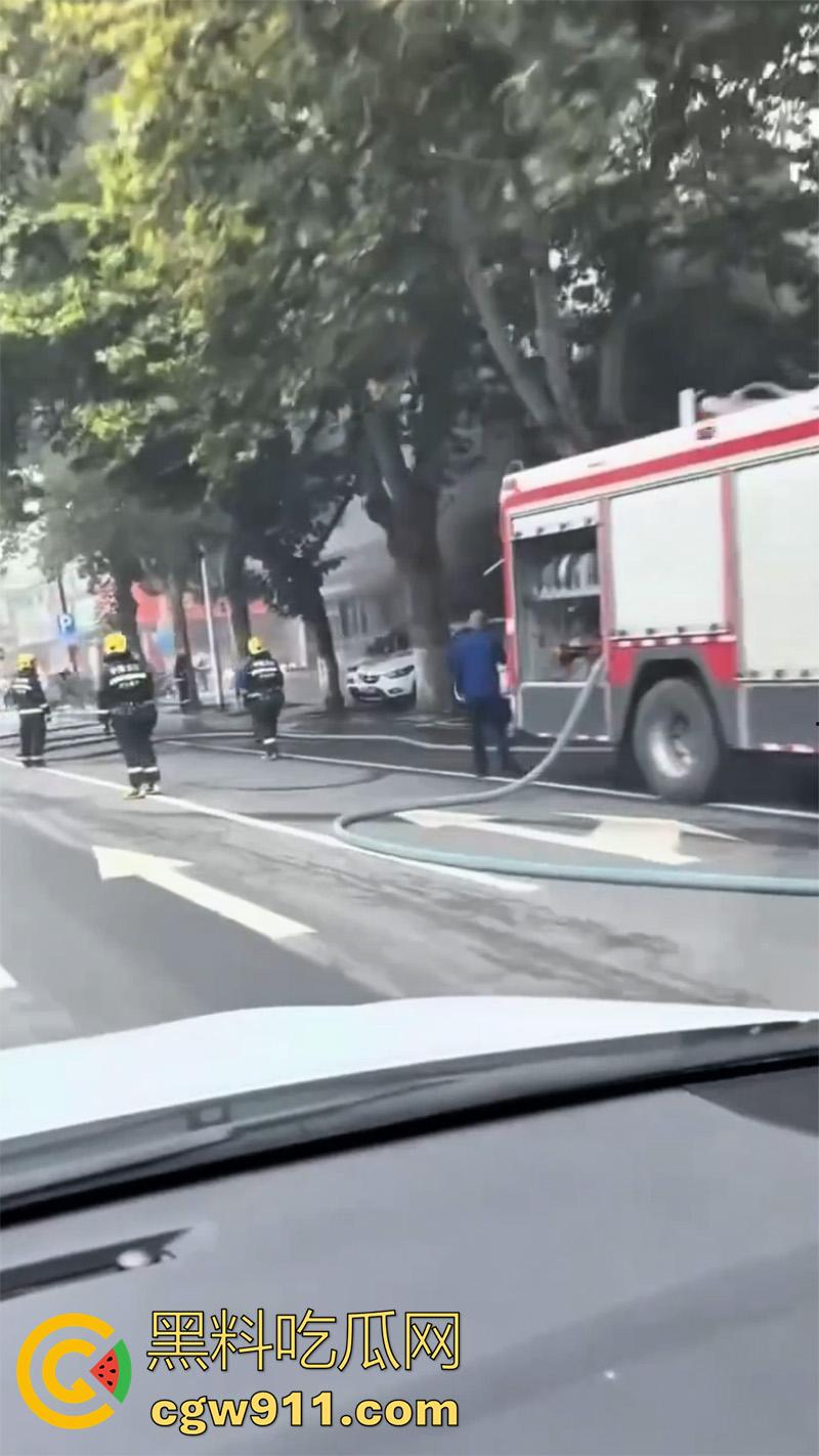 河北保定满城区玉川路，赵记果木烤鸭王突发火灾，看来店里是真材实料，的确是烤制出来的啊！-6